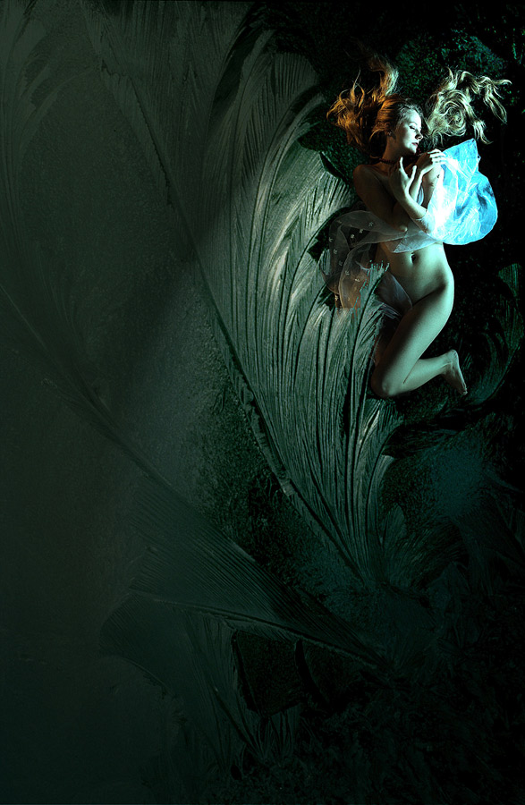 galeria.php?user_id=2&filesPage=1
